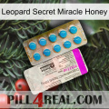 Leopard Secret Miracle Honey new07